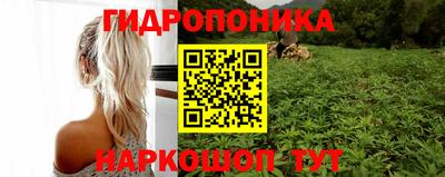 не бодяженный Гусев