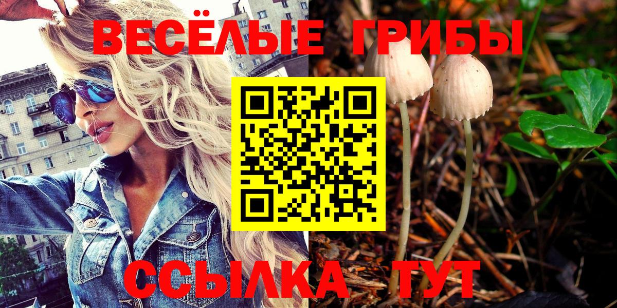 Галлюциногенные грибы Magic Shrooms Можга